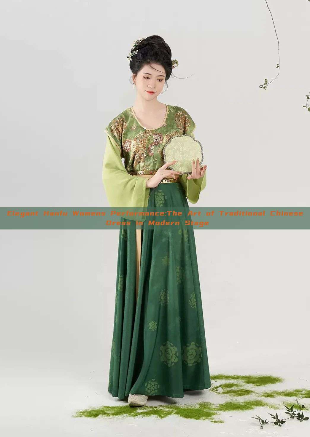 Elegant Hanfu Womens Performance:The Art of Traditional Chinese Dress in Modern Stage Elegant Hanfu Womens Performance:The Art of Traditional Chinese Dress in Modern Stage