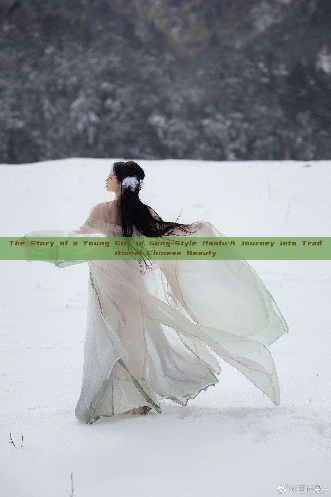 The Story of a Young Girl in Song-Style Hanfu:A Journey into Traditional Chinese Beauty