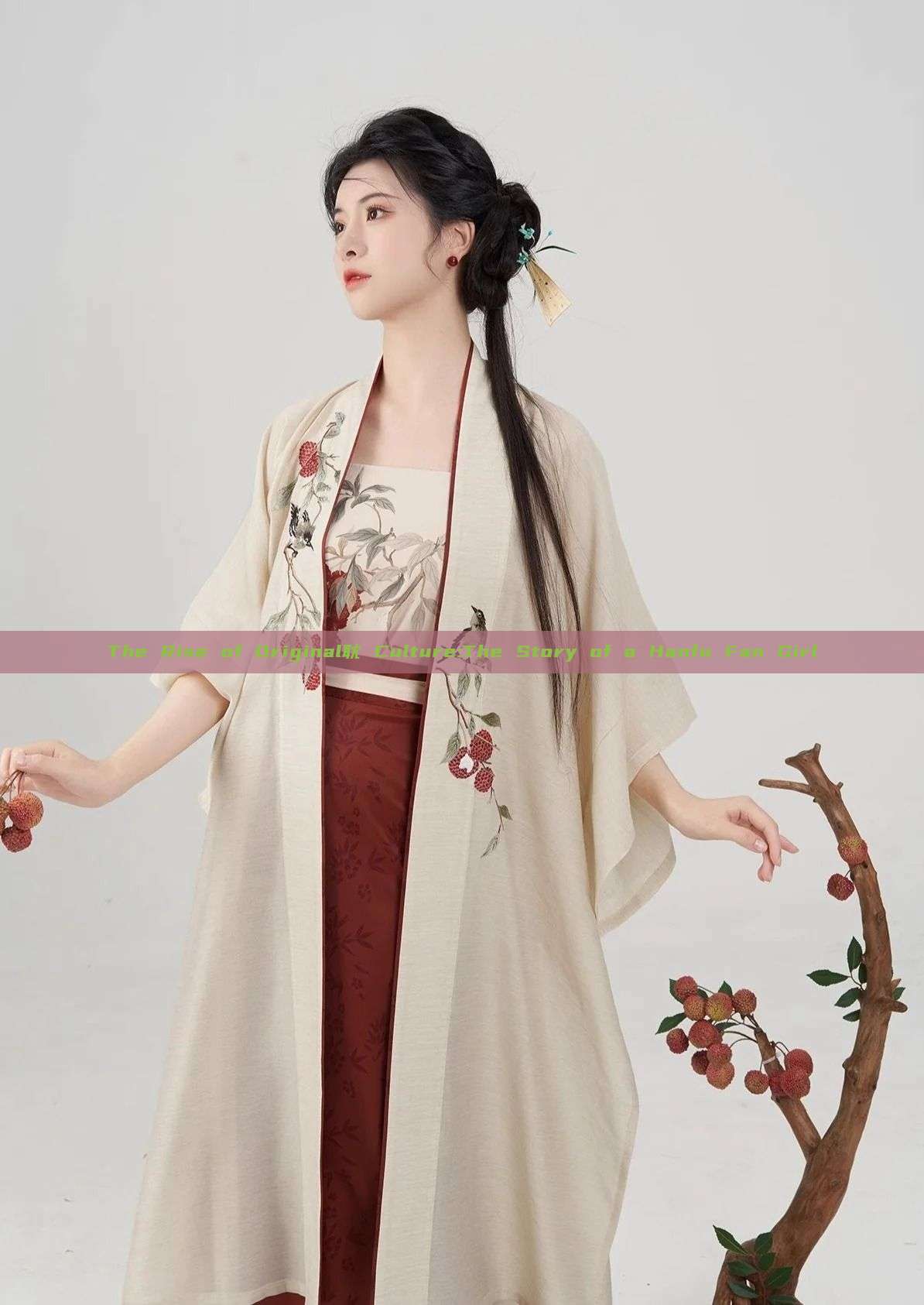 The Rise of Original耽 Culture:The Story of a Hanfu Fan Girl The Rise of Original耽 Culture:The Story of a Hanfu Fan Girl