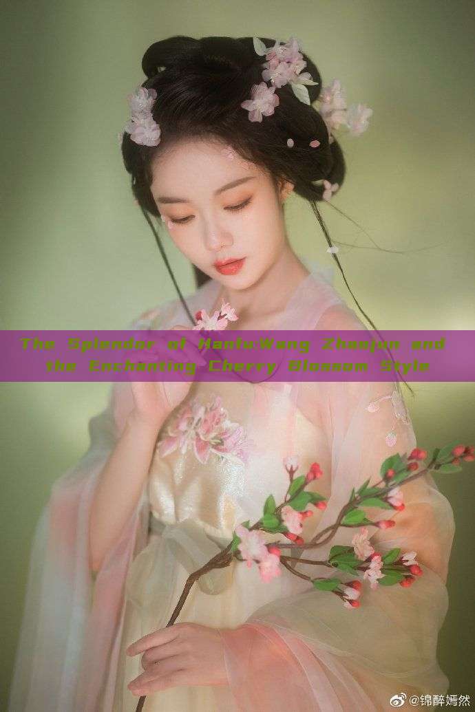 The Splendor of Hanfu:Wang Zhaojun and the Enchanting Cherry Blossom Style The Splendor of Hanfu:Wang Zhaojun and the Enchanting Cherry Blossom Style