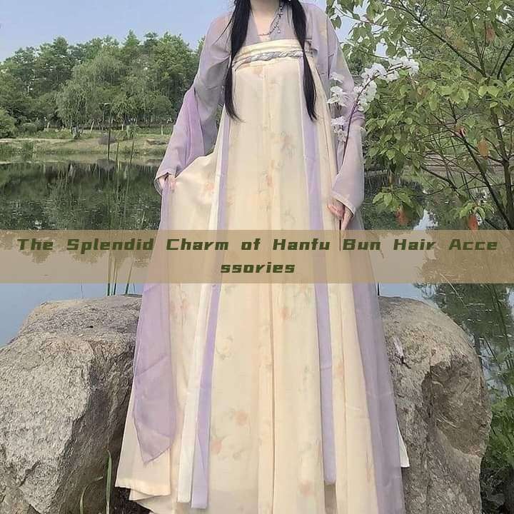The Splendid Charm of Hanfu Bun Hair Accessories The Splendid Charm of Hanfu Bun Hair Accessories