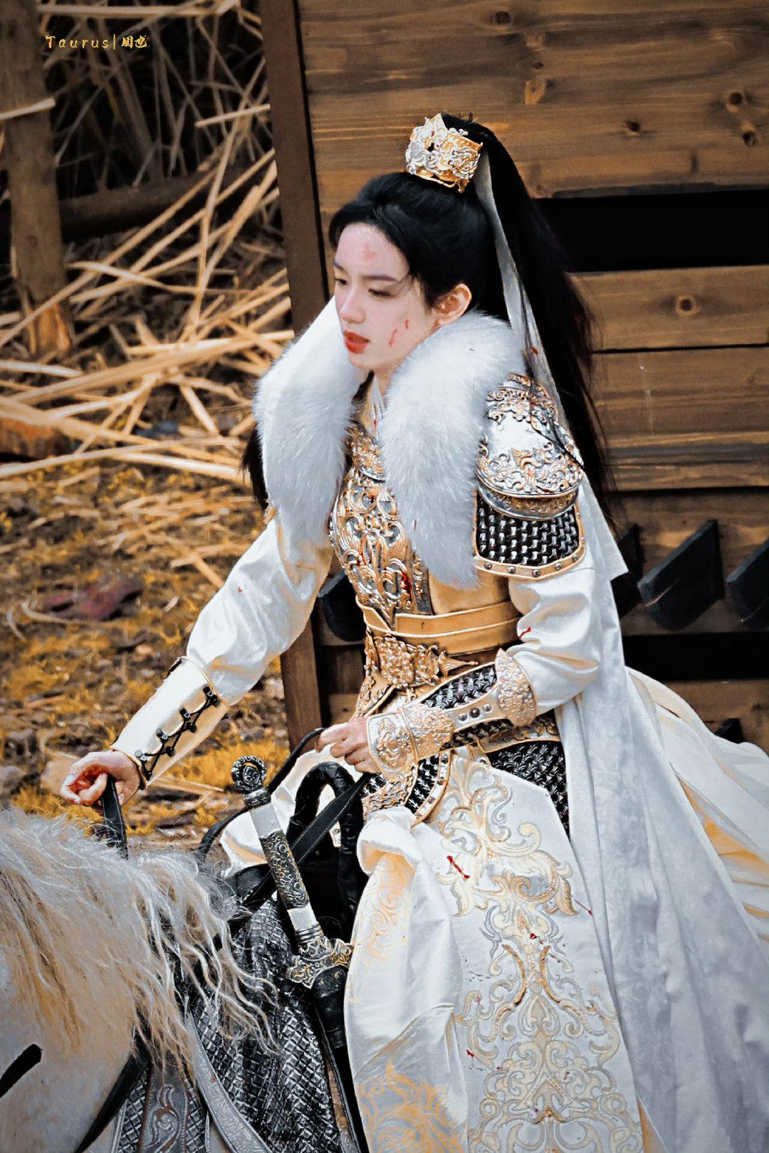 The Evolution of Hanfu Fashion in the Eyes of a Sub-Culture:A Journey with Ziyu The Evolution of Hanfu Fashion in the Eyes of a Sub-Culture:A Journey with Ziyu