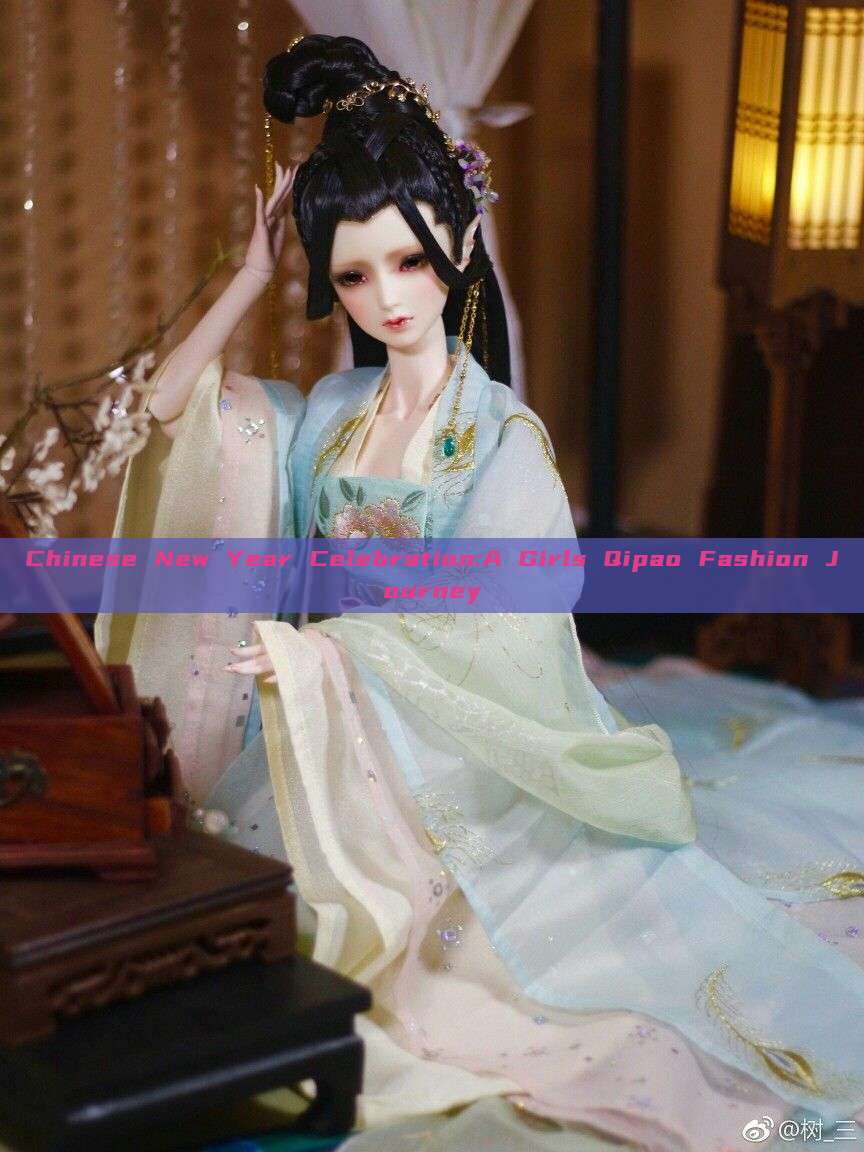 Chinese New Year Celebration:A Girls Qipao Fashion Journey