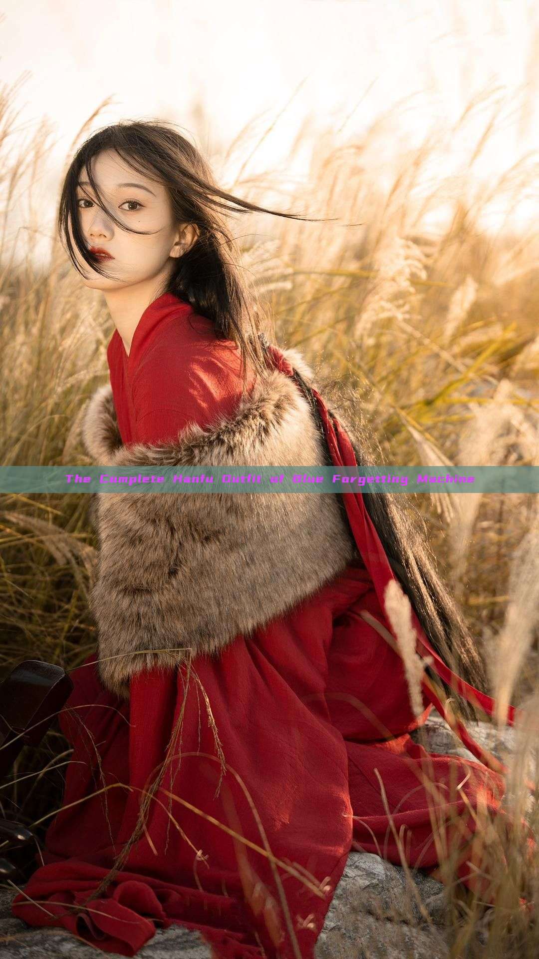 The Complete Hanfu Outfit of Blue Forgetting Machine