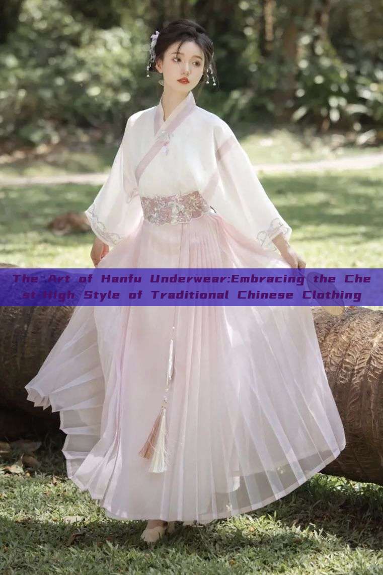 The Art of Hanfu Underwear:Embracing the Chest-High Style of Traditional Chinese Clothing The Art of Hanfu Underwear:Embracing the Chest-High Style of Traditional Chinese Clothing