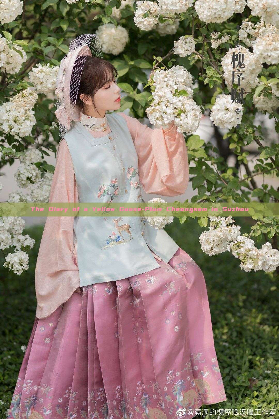 The Diary of a Yellow Goose-Plum Cheongsam in Suzhou The Diary of a Yellow Goose-Plum Cheongsam in Suzhou