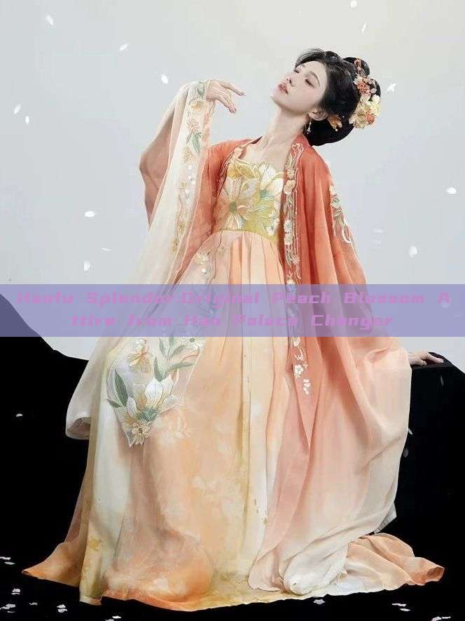 Hanfu Splendor:Original Peach Blossom Attire from Han Palace Changer Hanfu Splendor:Original Peach Blossom Attire from Han Palace Changer