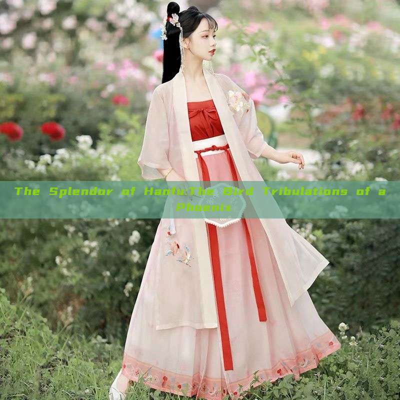 The Splendor of Hanfu:The Bird Tribulations of a Phoenix