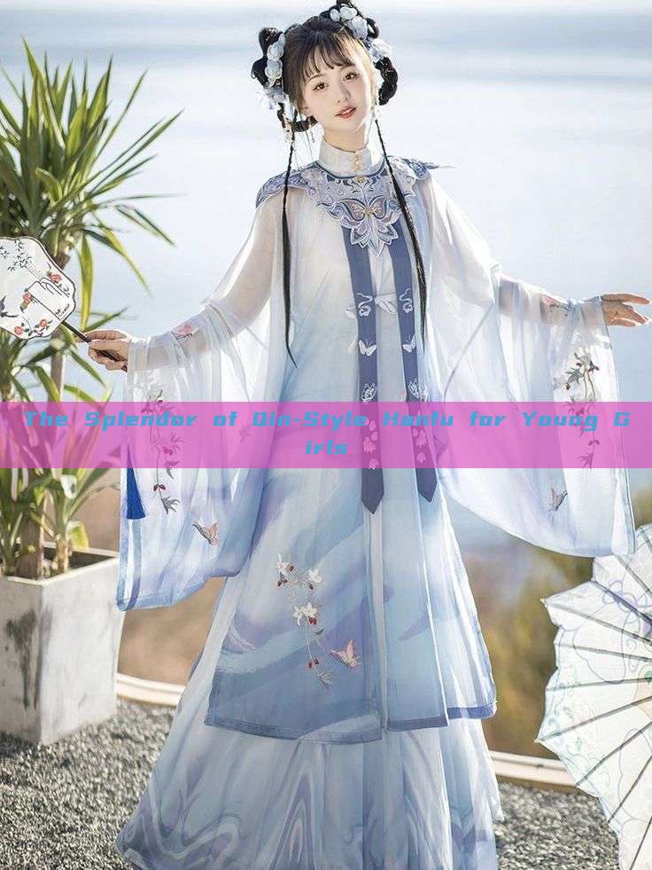 The Splendor of Qin-Style Hanfu for Young Girls The Splendor of Qin-Style Hanfu for Young Girls