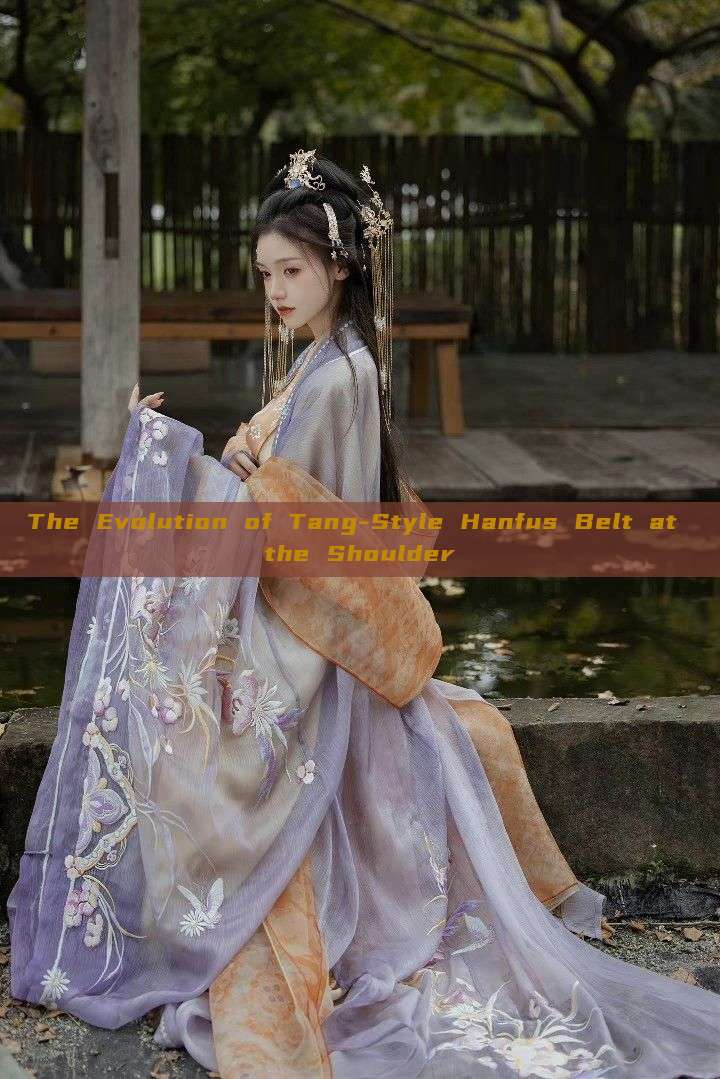 The Evolution of Tang-Style Hanfus Belt at the Shoulder The Evolution of Tang-Style Hanfus Belt at the Shoulder