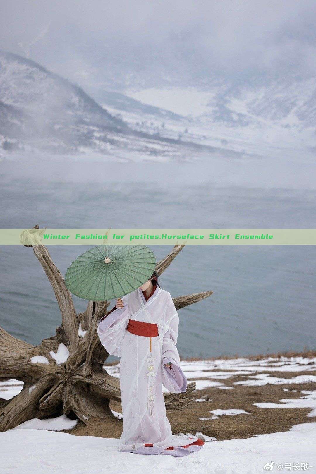 Winter Fashion for petites:Horseface Skirt Ensemble