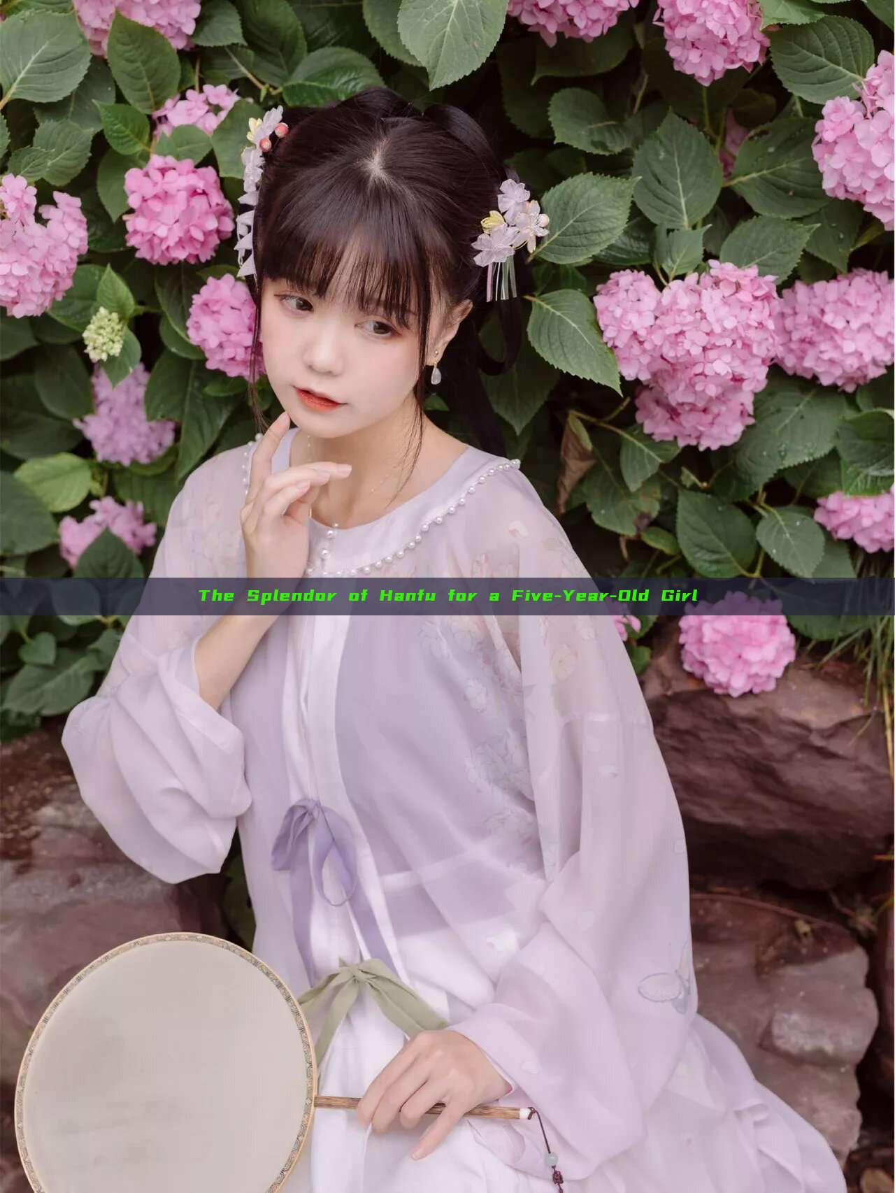 The Splendor of Hanfu for a Five-Year-Old Girl The Splendor of Hanfu for a Five-Year-Old Girl