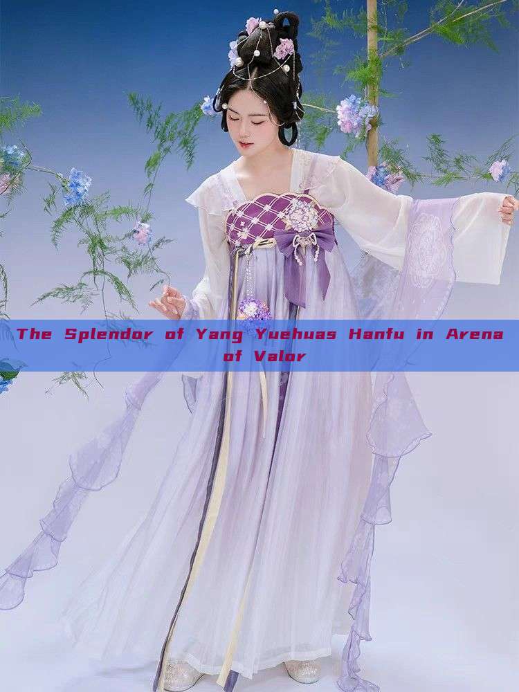 The Splendor of Yang Yuehuas Hanfu in Arena of Valor The Splendor of Yang Yuehuas Hanfu in Arena of Valor