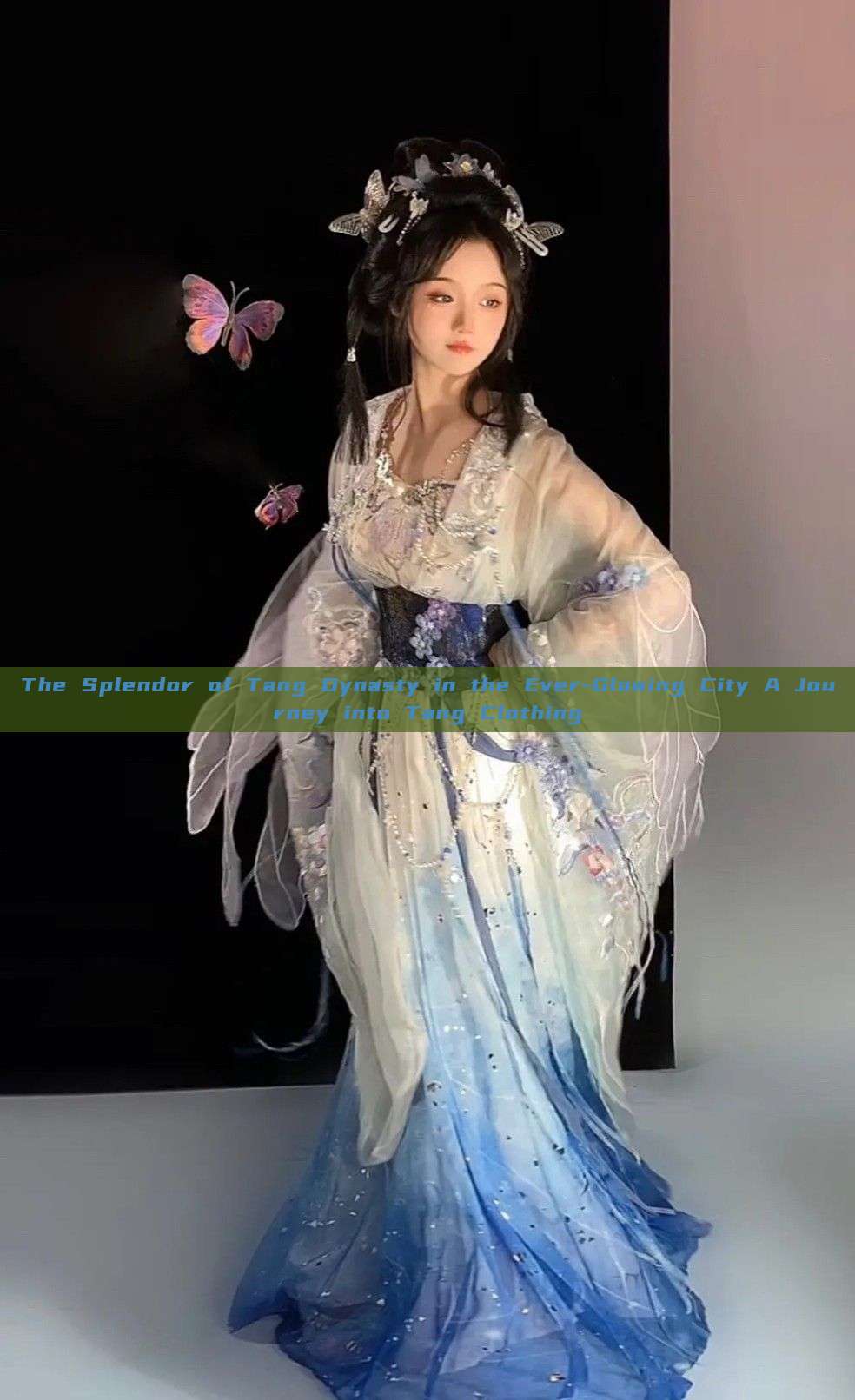 The Splendor of Tang Dynasty in the Ever-Glowing City A Journey into Tang Clothing