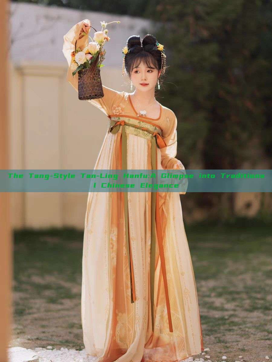 The Tang-Style Tan-Ling Hanfu:A Glimpse into Traditional Chinese Elegance The Tang-Style Tan-Ling Hanfu:A Glimpse into Traditional Chinese Elegance