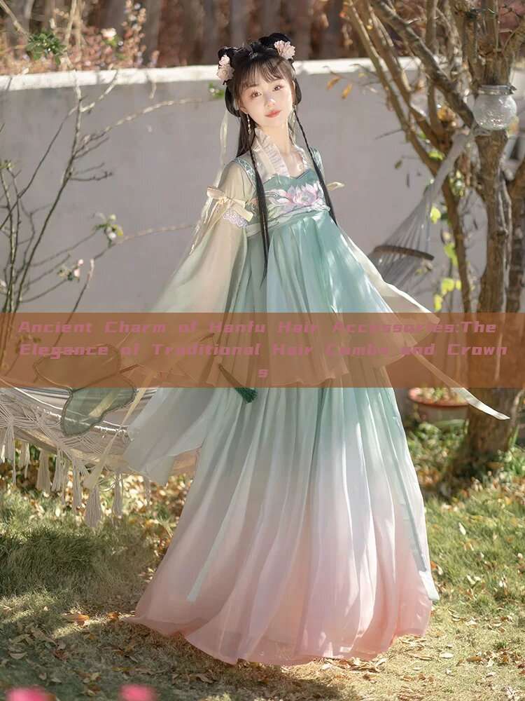 Ancient Charm of Hanfu Hair Accessories:The Elegance of Traditional Hair Combs and Crowns Ancient Charm of Hanfu Hair Accessories:The Elegance of Traditional Hair Combs and Crowns