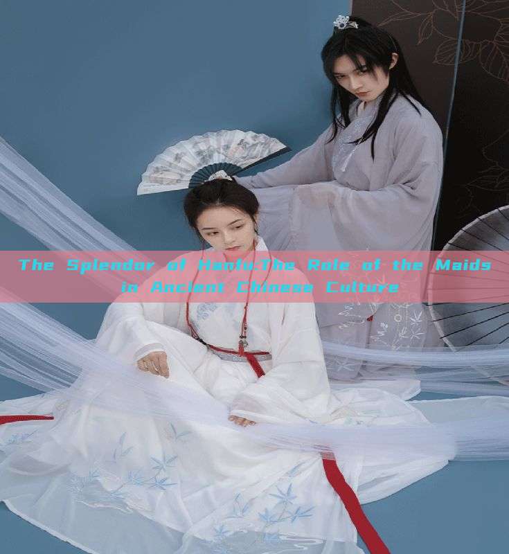 The Splendor of Hanfu:The Role of the Maids in Ancient Chinese Culture The Splendor of Hanfu:The Role of the Maids in Ancient Chinese Culture