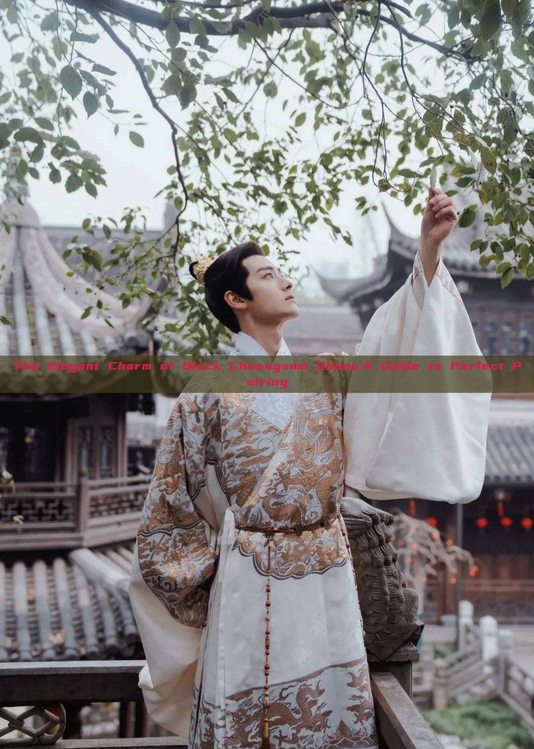 The Elegant Charm of Black Cheongsam Shoes:A Guide to Perfect Pairing The Elegant Charm of Black Cheongsam Shoes:A Guide to Perfect Pairing