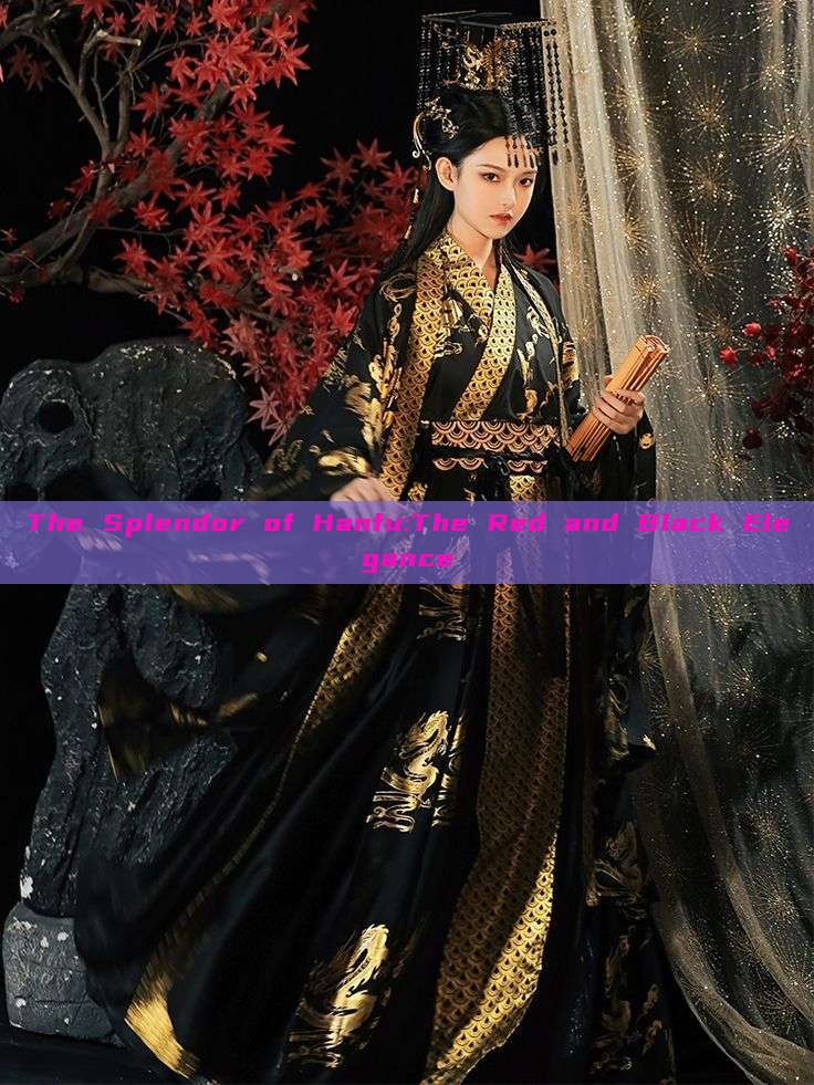 The Splendor of Hanfu:The Red and Black Elegance The Splendor of Hanfu:The Red and Black Elegance