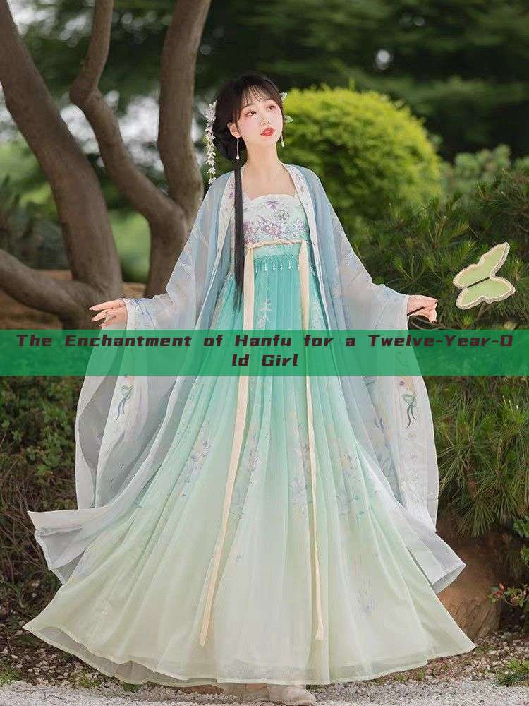 The Enchantment of Hanfu for a Twelve-Year-Old Girl The Enchantment of Hanfu for a Twelve-Year-Old Girl