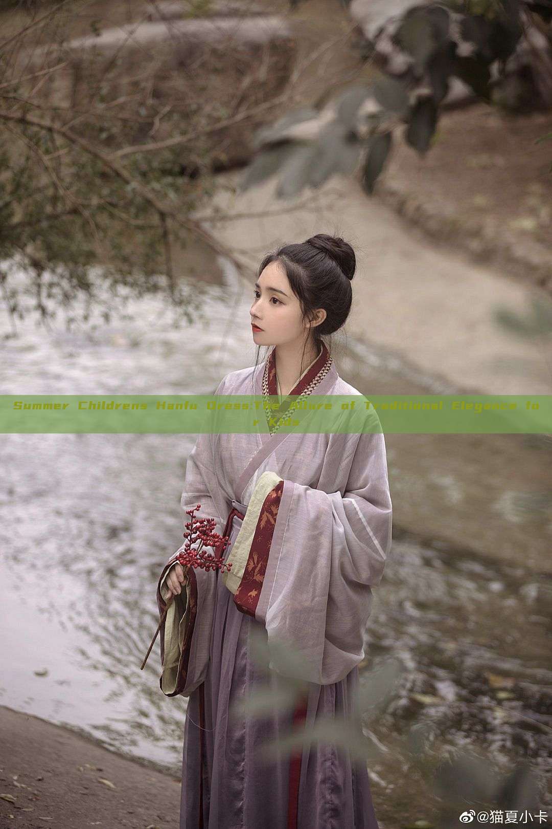 Summer Childrens Hanfu Dress:The Allure of Traditional Elegance for Kids Summer Childrens Hanfu Dress:The Allure of Traditional Elegance for Kids