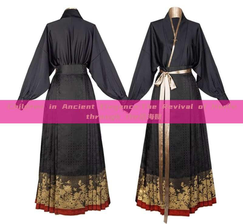 Children in Ancient Elegance:The Revival of Hanfu through the沧海赋 Children in Ancient Elegance:The Revival of Hanfu through the沧海赋