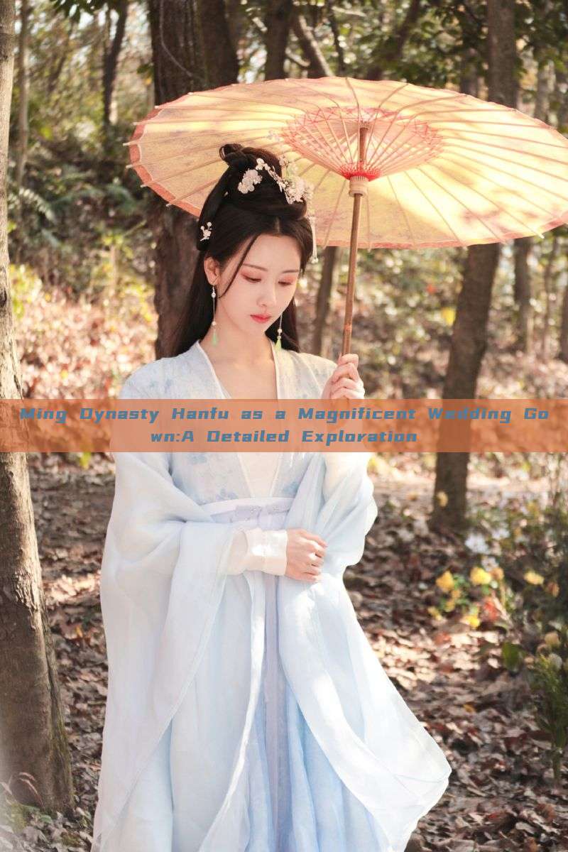 Ming Dynasty Hanfu as a Magnificent Wedding Gown:A Detailed Exploration Ming Dynasty Hanfu as a Magnificent Wedding Gown:A Detailed Exploration