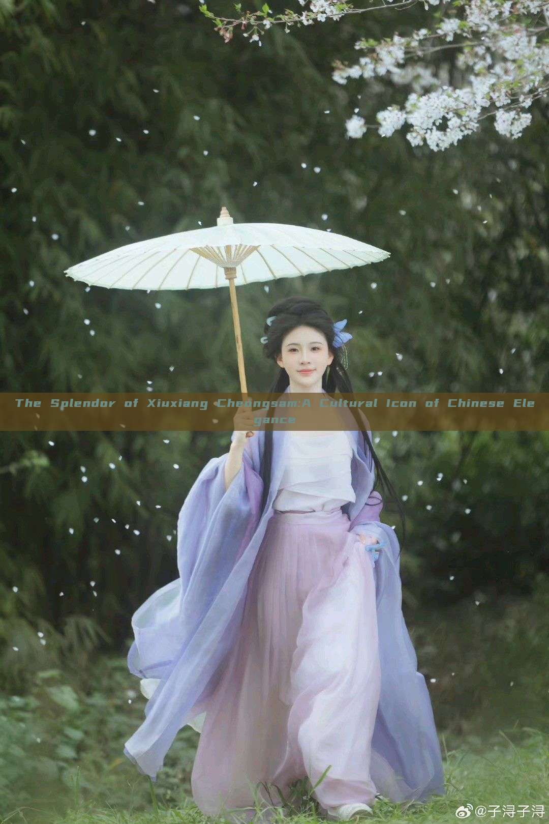 The Splendor of Xiuxiang Cheongsam:A Cultural Icon of Chinese Elegance The Splendor of Xiuxiang Cheongsam:A Cultural Icon of Chinese Elegance
