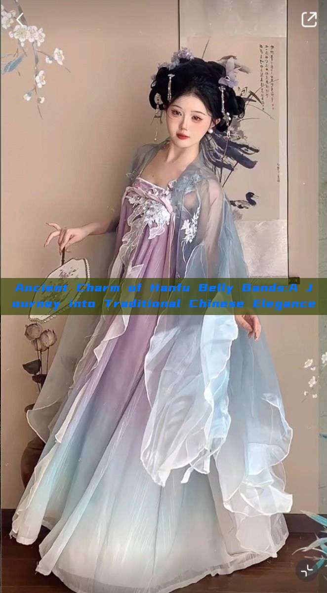 Ancient Charm of Hanfu Belly Bands:A Journey into Traditional Chinese Elegance Ancient Charm of Hanfu Belly Bands:A Journey into Traditional Chinese Elegance