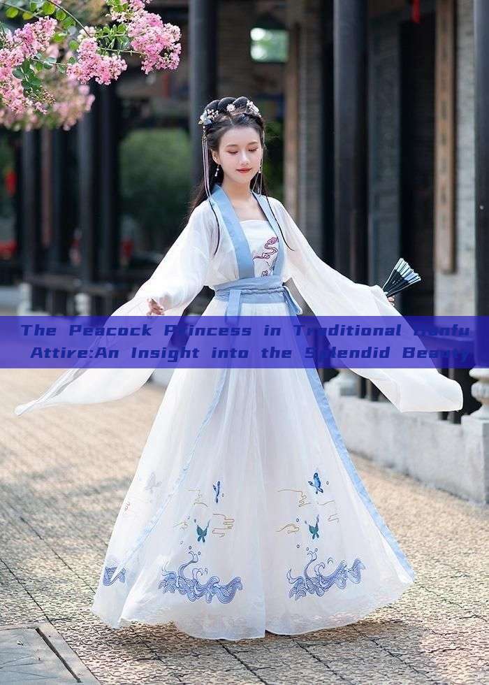 The Peacock Princess in Traditional Hanfu Attire:An Insight into the Splendid Beauty The Peacock Princess in Traditional Hanfu Attire:An Insight into the Splendid Beauty