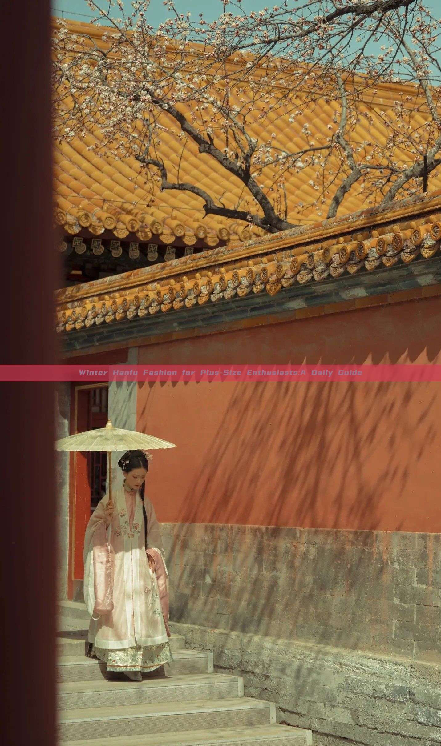 Winter Hanfu Fashion for Plus-Size Enthusiasts:A Daily Guide