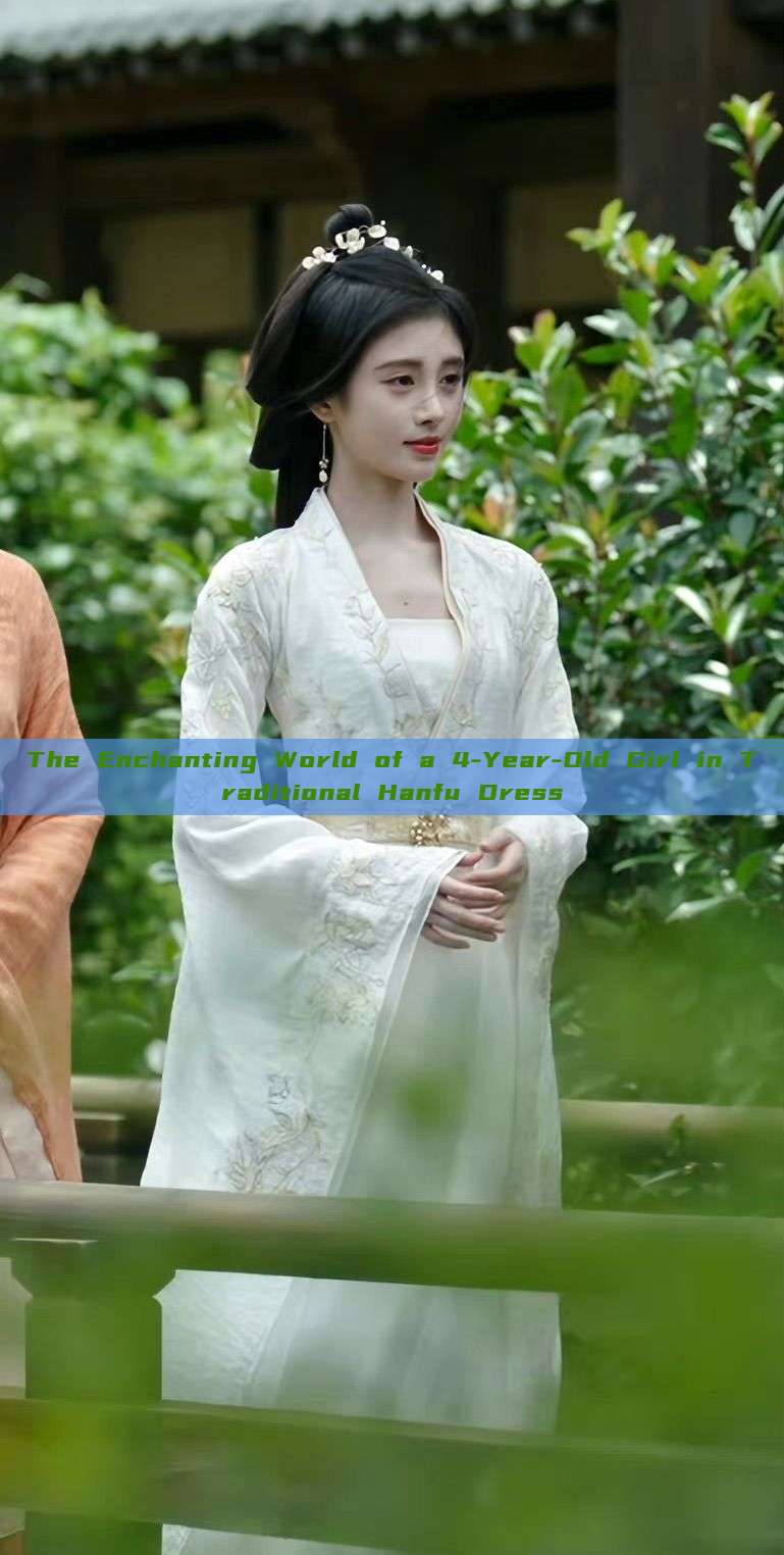 The Enchanting World of a 4-Year-Old Girl in Traditional Hanfu Dress The Enchanting World of a 4-Year-Old Girl in Traditional Hanfu Dress