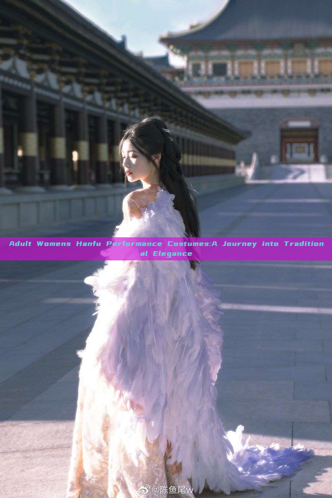 Adult Womens Hanfu Performance Costumes:A Journey into Traditional Elegance Adult Womens Hanfu Performance Costumes:A Journey into Traditional Elegance