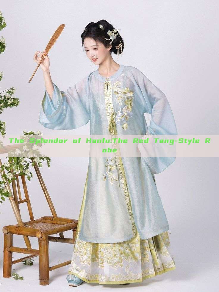 The Splendor of Hanfu:The Red Tang-Style Robe The Splendor of Hanfu:The Red Tang-Style Robe