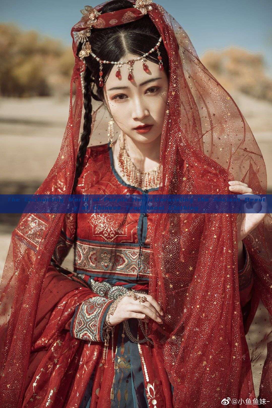 The Enchanting World of Purple Hanfu:Unraveling the Ancient Beauty of Chinese Traditional Clothing The Enchanting World of Purple Hanfu:Unraveling the Ancient Beauty of Chinese Traditional Clothing