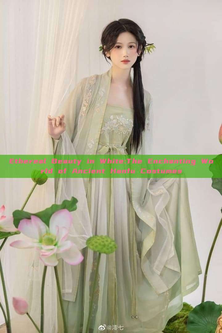 Ethereal Beauty in White:The Enchanting World of Ancient Hanfu Costumes Ethereal Beauty in White:The Enchanting World of Ancient Hanfu Costumes