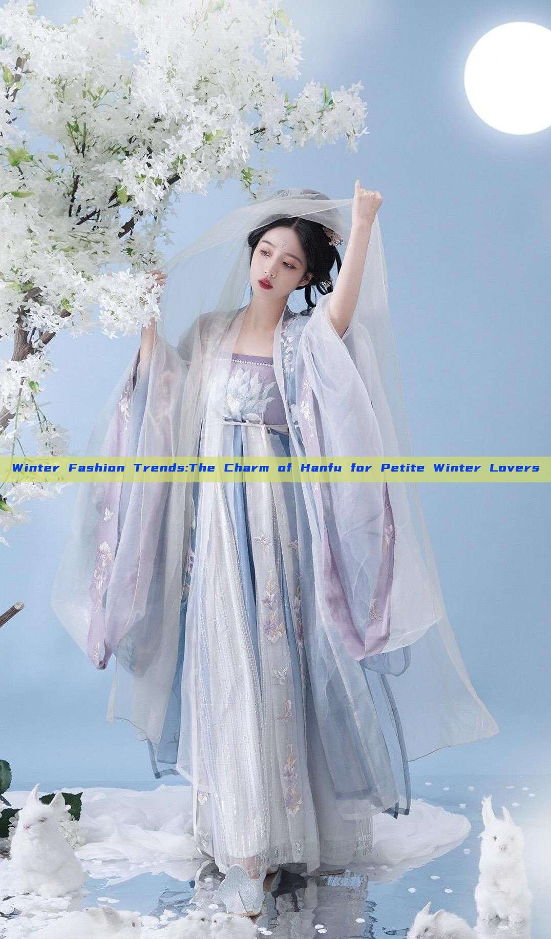 Winter Fashion Trends:The Charm of Hanfu for Petite Winter Lovers Winter Fashion Trends:The Charm of Hanfu for Petite Winter Lovers