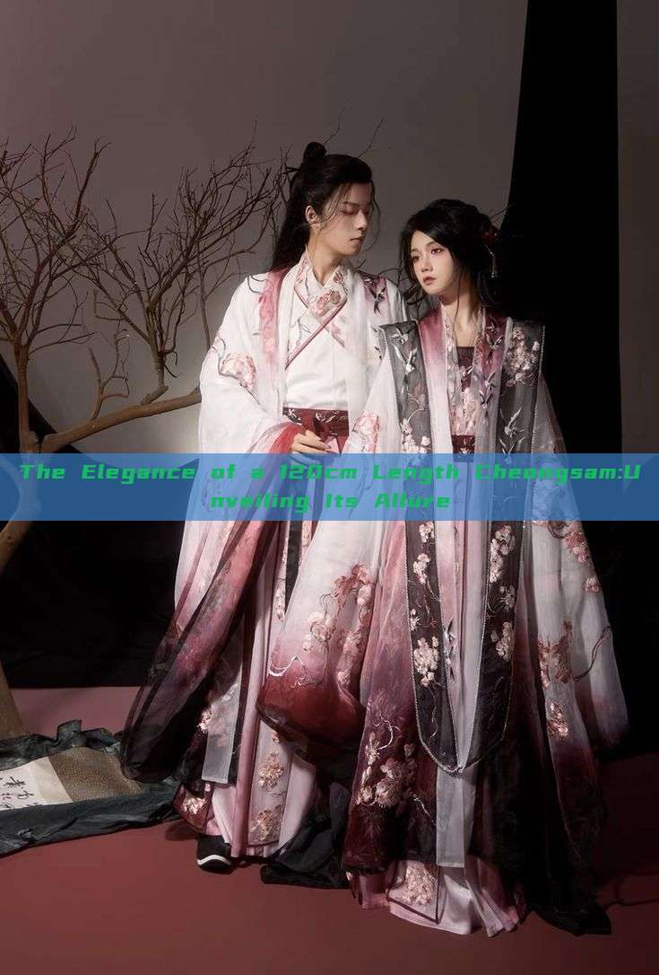 The Elegance of a 120cm Length Cheongsam:Unveiling Its Allure The Elegance of a 120cm Length Cheongsam:Unveiling Its Allure