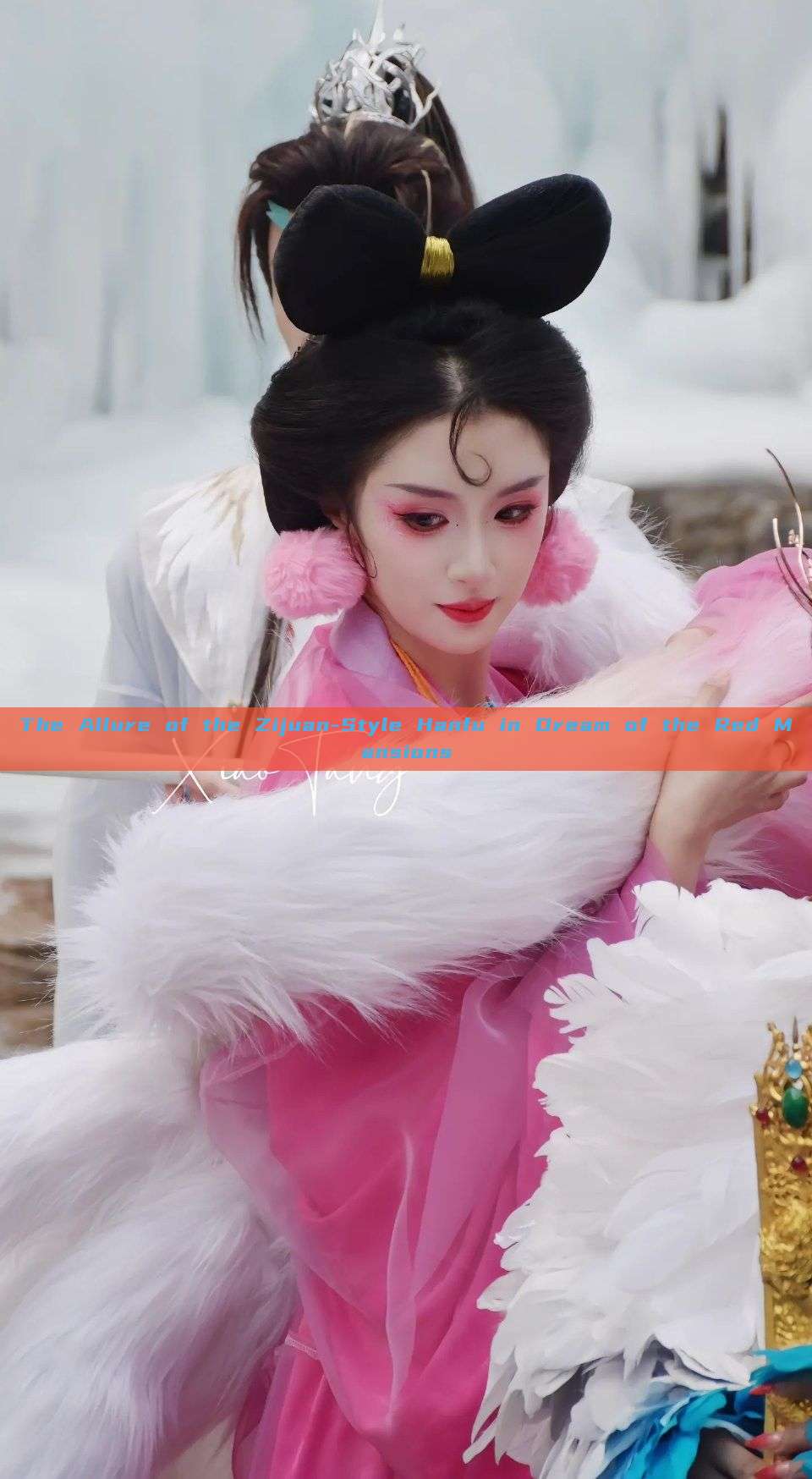 The Allure of the Zijuan-Style Hanfu in Dream of the Red Mansions The Allure of the Zijuan-Style Hanfu in Dream of the Red Mansions