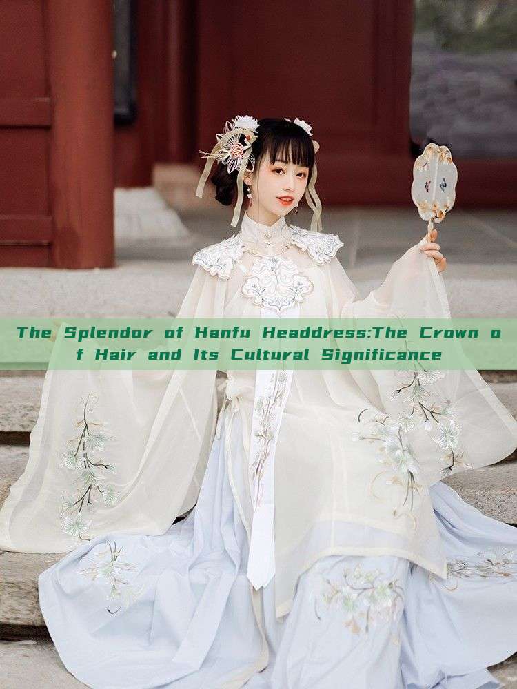The Splendor of Hanfu Headdress:The Crown of Hair and Its Cultural Significance The Splendor of Hanfu Headdress:The Crown of Hair and Its Cultural Significance