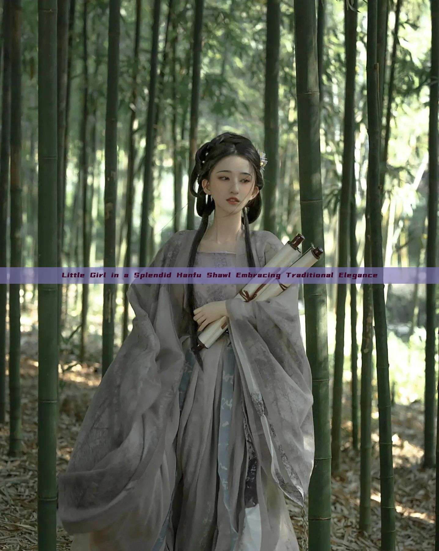 Little Girl in a Splendid Hanfu Shawl Embracing Traditional Elegance Little Girl in a Splendid Hanfu Shawl Embracing Traditional Elegance