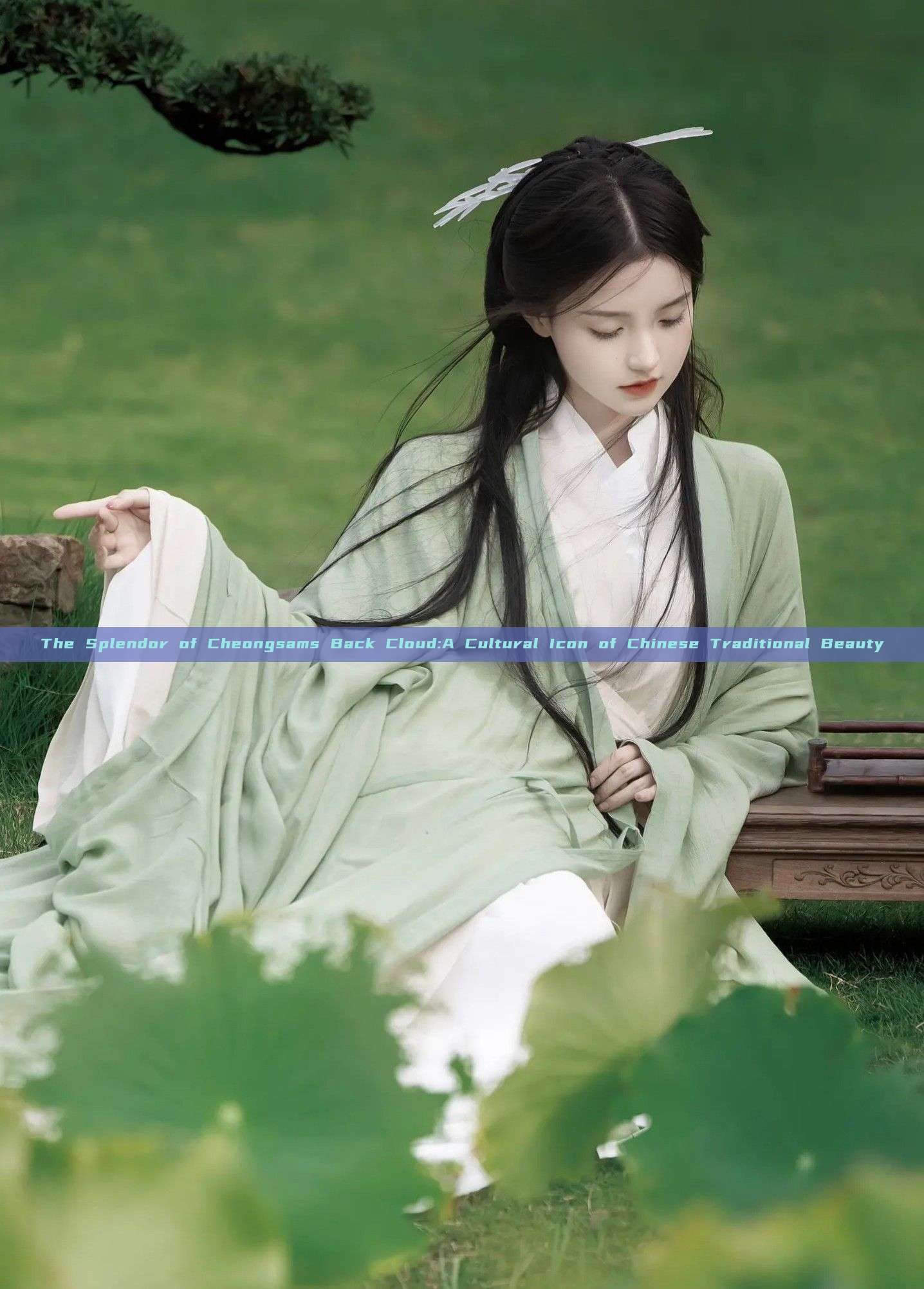 The Splendor of Cheongsams Back Cloud:A Cultural Icon of Chinese Traditional Beauty The Splendor of Cheongsams Back Cloud:A Cultural Icon of Chinese Traditional Beauty