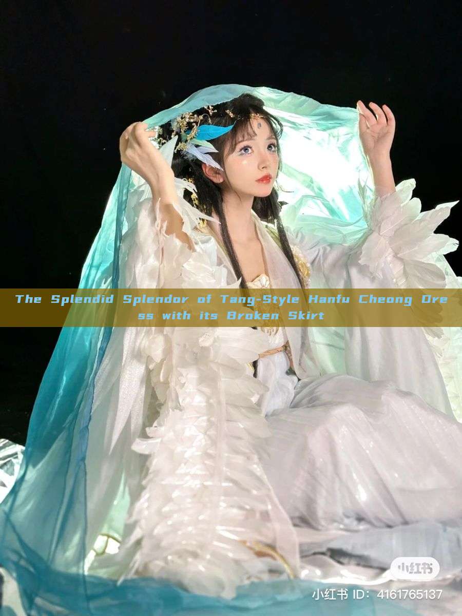The Splendid Splendor of Tang-Style Hanfu Cheong Dress with its Broken Skirt The Splendid Splendor of Tang-Style Hanfu Cheong Dress with its Broken Skirt