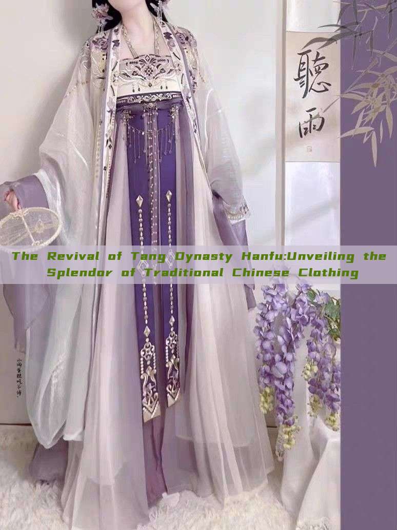 The Revival of Tang Dynasty Hanfu:Unveiling the Splendor of Traditional Chinese Clothing The Revival of Tang Dynasty Hanfu:Unveiling the Splendor of Traditional Chinese Clothing