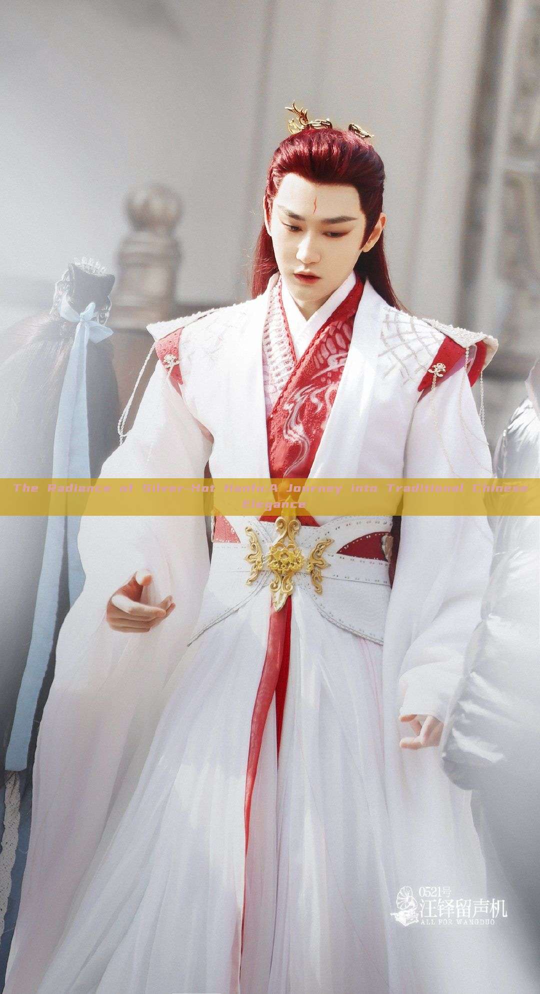 The Radiance of Silver-Hot Hanfu:A Journey into Traditional Chinese Elegance The Radiance of Silver-Hot Hanfu:A Journey into Traditional Chinese Elegance