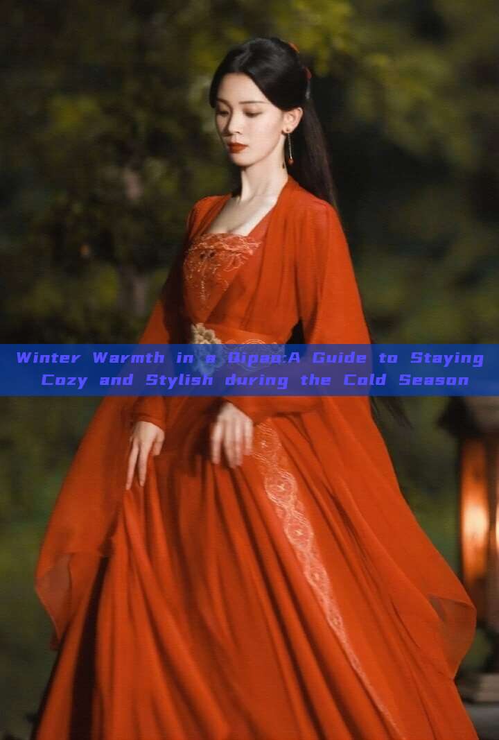 Winter Warmth in a Qipao:A Guide to Staying Cozy and Stylish during the Cold Season Winter Warmth in a Qipao:A Guide to Staying Cozy and Stylish during the Cold Season