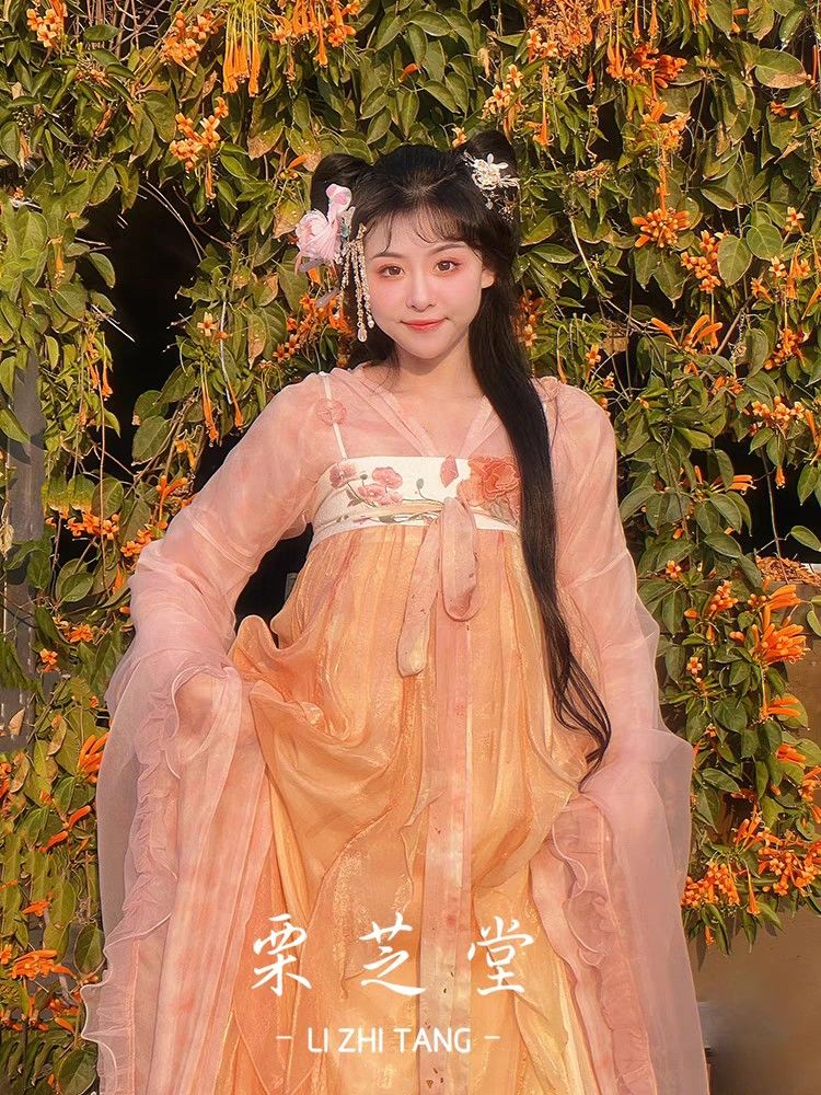 Winter Hanfu Cotton Clothes for Women:A Blend of Tradition and Warmth Winter Hanfu Cotton Clothes for Women:A Blend of Tradition and Warmth