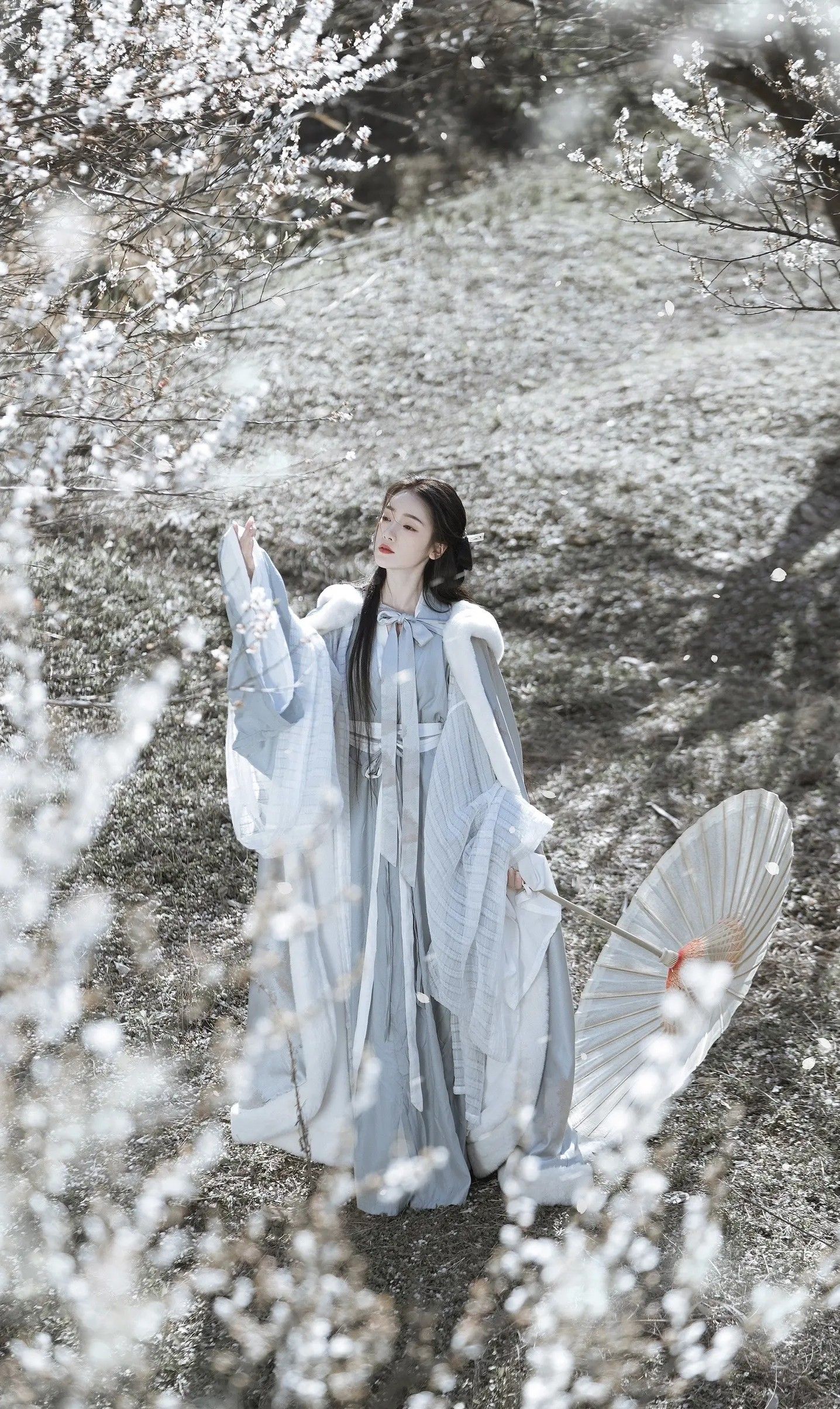 Ten-Year-Old Girl Becomes a Social Media Sensation in Summer Hanfu Fashion Ten-Year-Old Girl Becomes a Social Media Sensation in Summer Hanfu Fashion