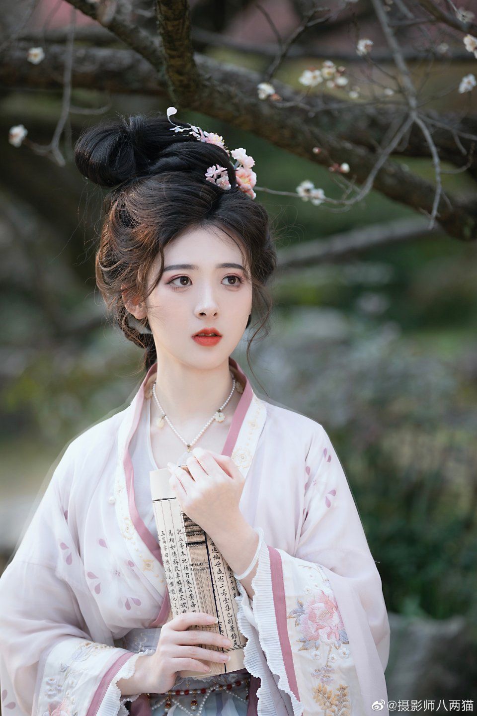 The Splendor of Ming-Style Hanfu in Purple for Women The Splendor of Ming-Style Hanfu in Purple for Women