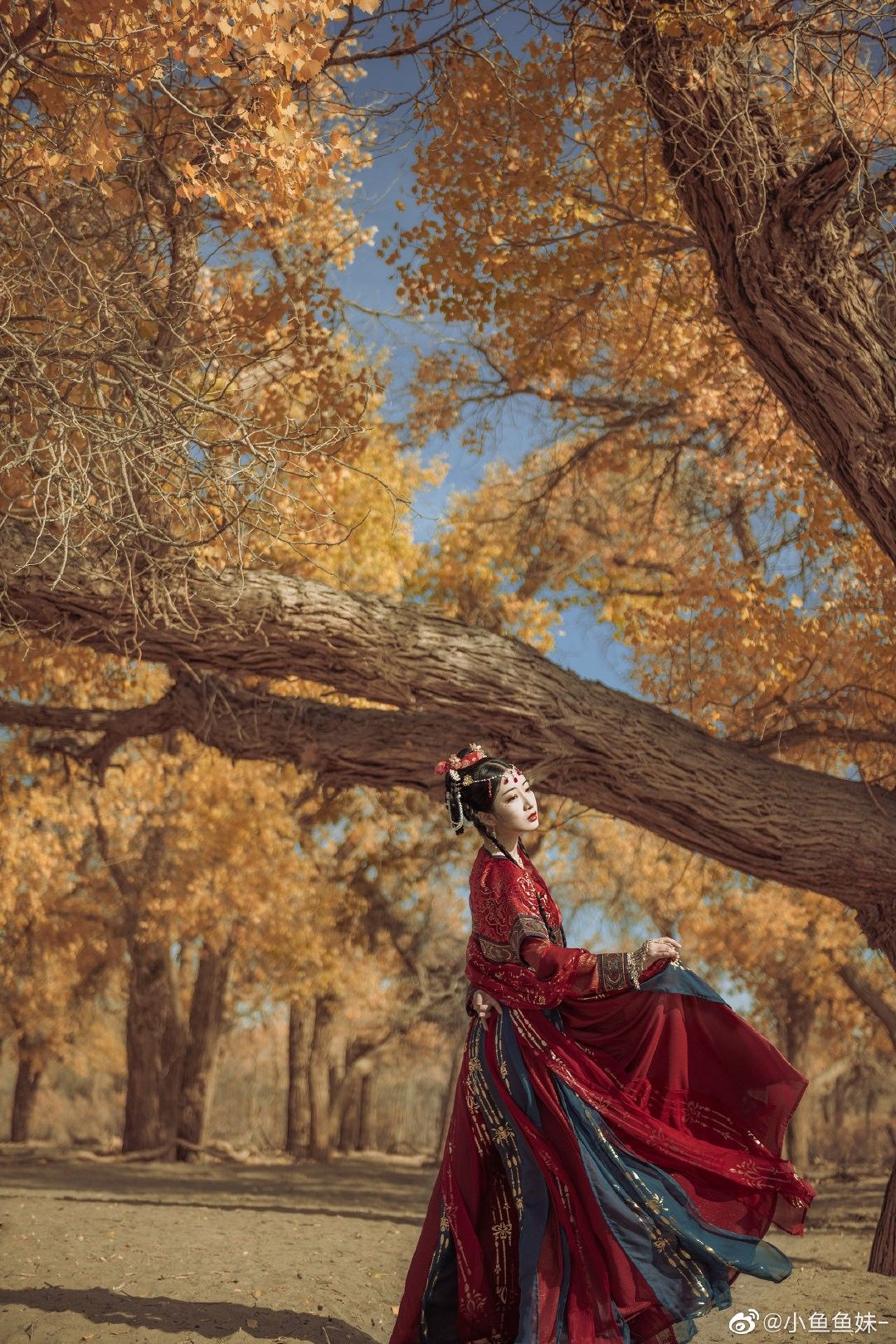 Traditional Chinese Style:The Elegance of Ma-Mian Skirt Ensemble Traditional Chinese Style:The Elegance of Ma-Mian Skirt Ensemble